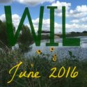 Sixteen Things I Learned in June {2016}