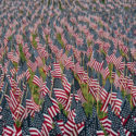 Interesting Veterans Day Facts