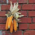 Cinco de Wednesday: New Thanksgiving Traditions