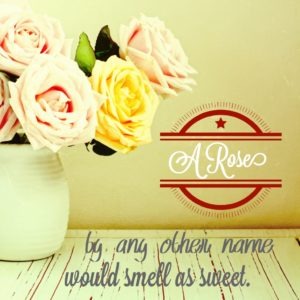A rose's scent might be impervious to a name change, but I think a blog's name carries quite a bit of significance.