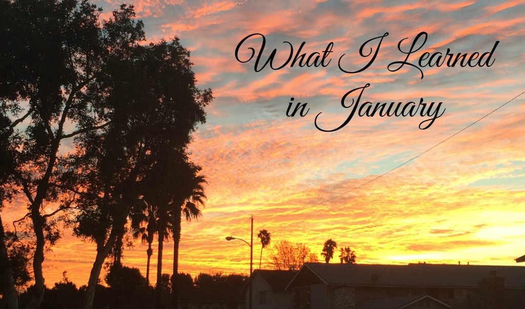 What I Learned in January