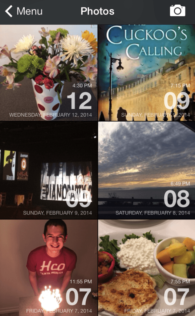 Screenshot of My Day One Photo Entries