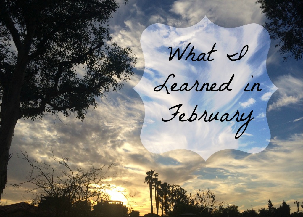 What I Learned in February