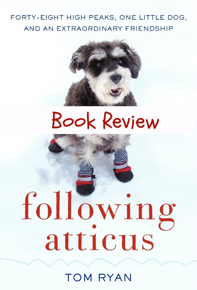 Following Atticus Book Review