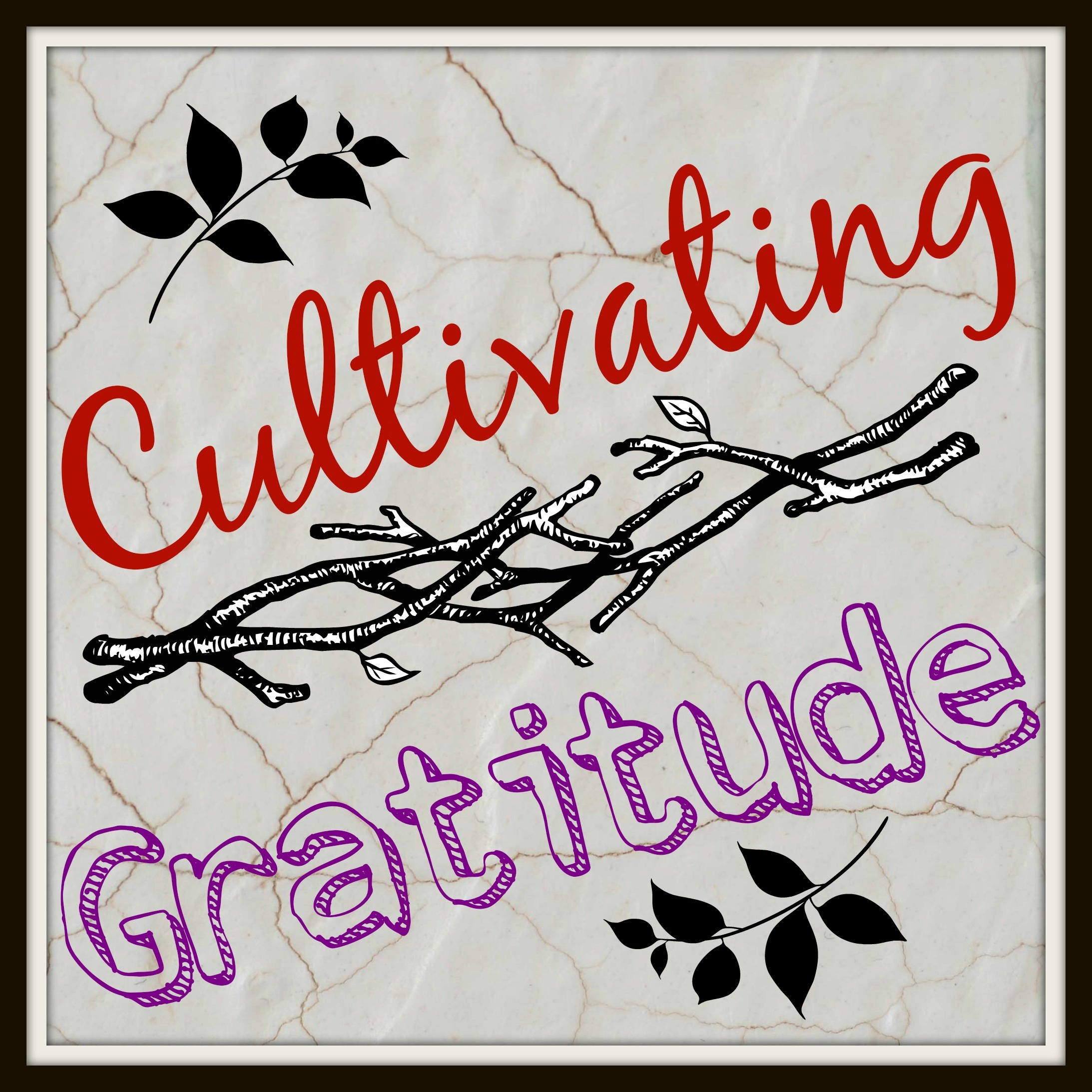 Cultivating Character // Gratitude | KendraNicole.net