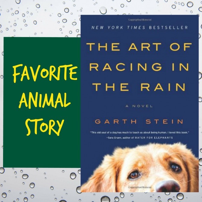 Favorite Animal Story: Racing in the Rain