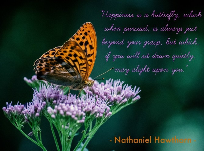 "Happiness is a butterfly, which when pursued, is always just beyond your grasp, but which, if you will sit down quietly, may alight upon you." ~ Nathaniel Hawthorn