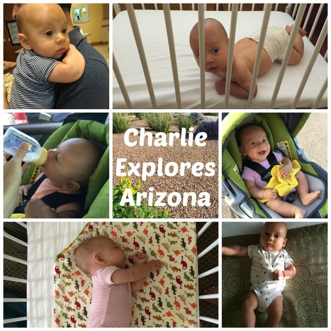 Charlie Ezplores Arizona