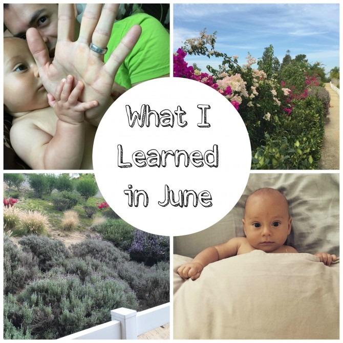 What I Learned in June