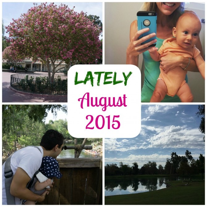 Lately  August 2015