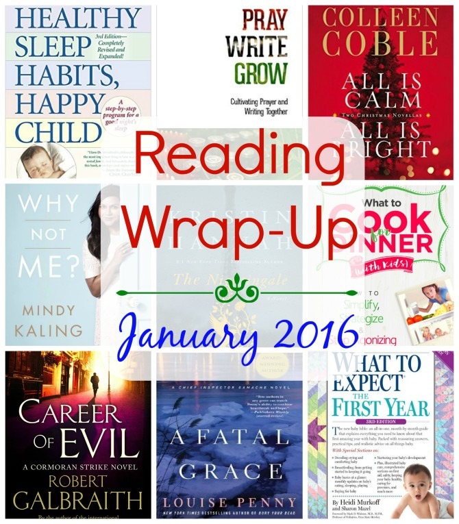 Quick Lit Reading WrapUp // January 2016