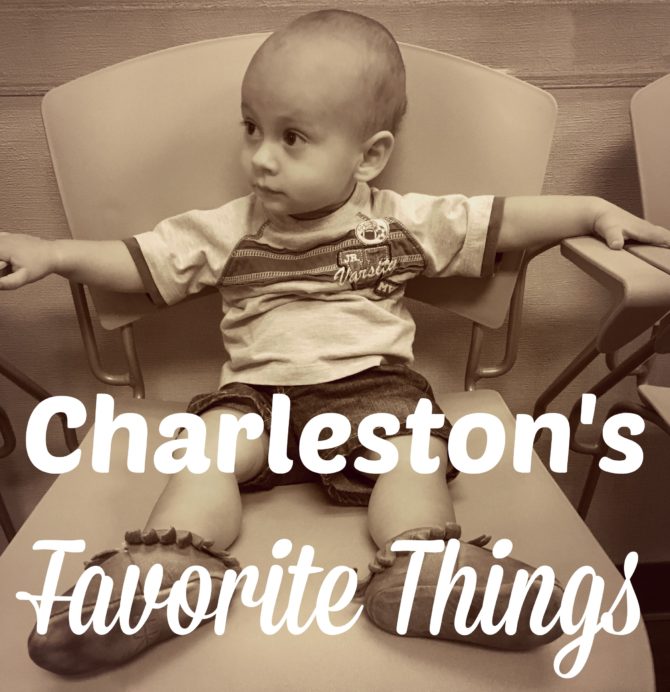 Charleston's Favorite Things