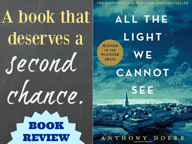 the mirror and the light book review