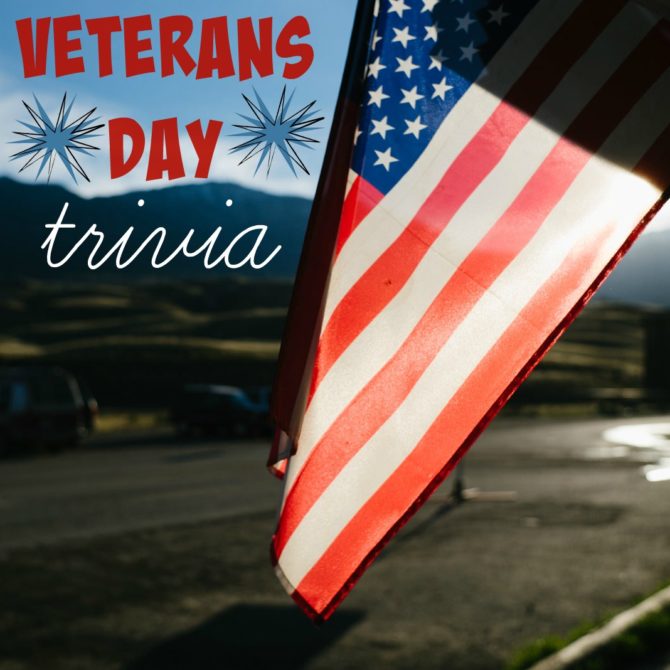 Interesting Veterans Day Facts Kendranicole Net