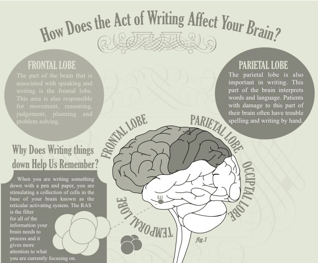 Writing and the Brain