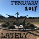 Lately // February 2017