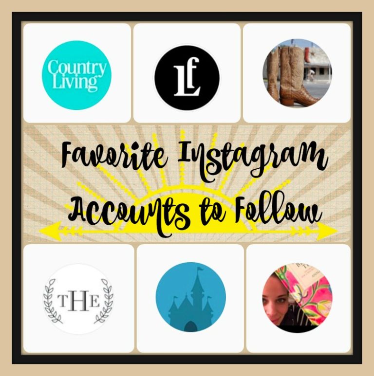 In the Spotlight Favorite Instagram Accounts to Follow