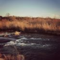 Fifteen Things I Learned in February {2018}