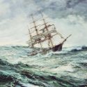 Weathering the Storm