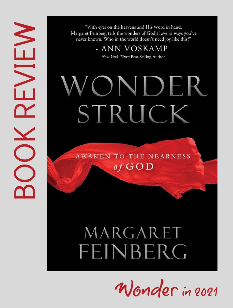 wonderstruck book review